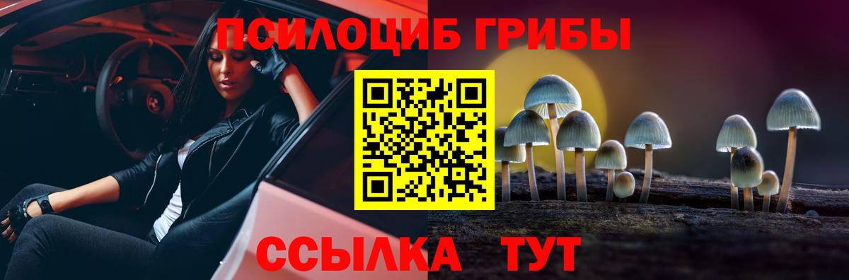 Нурлат  Галлюциногенные грибы Psilocybe  Вход с VPN 